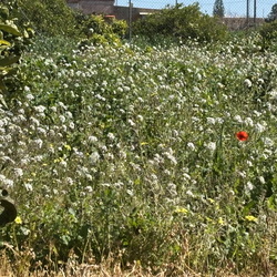 Denia und Umgebung 2024/2025