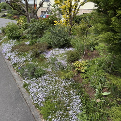 Schön – oder schön?